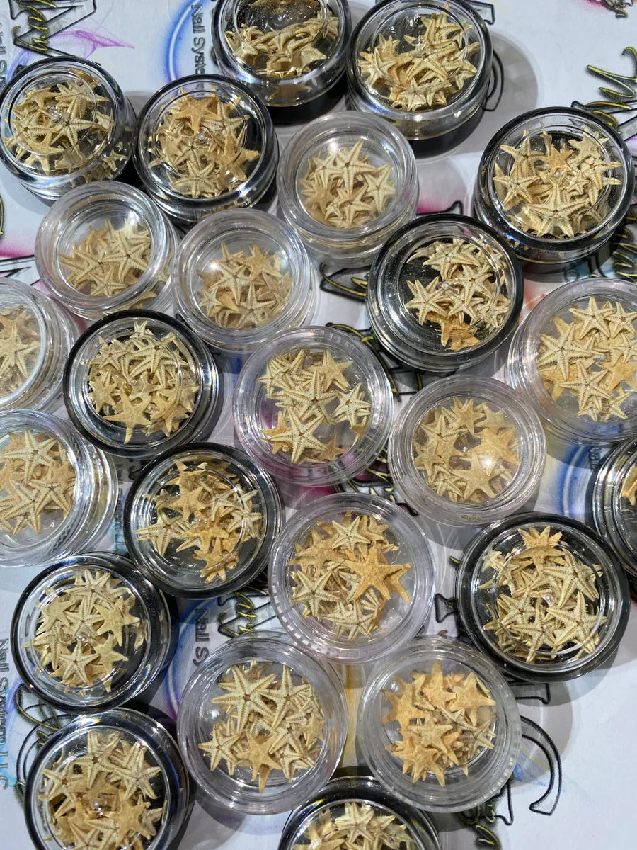 ESTRELLAS DE MAR NATURALES