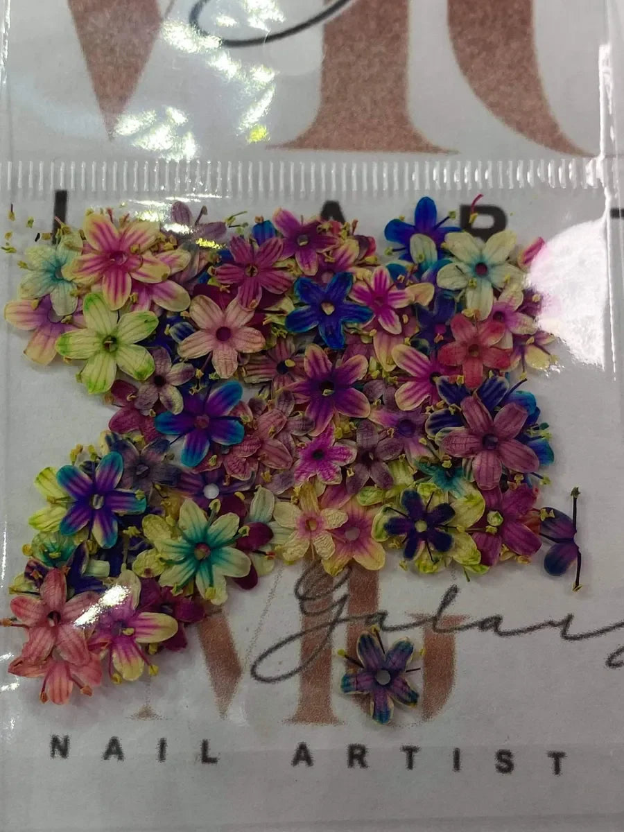 NATURAL DRIED FLOWERS