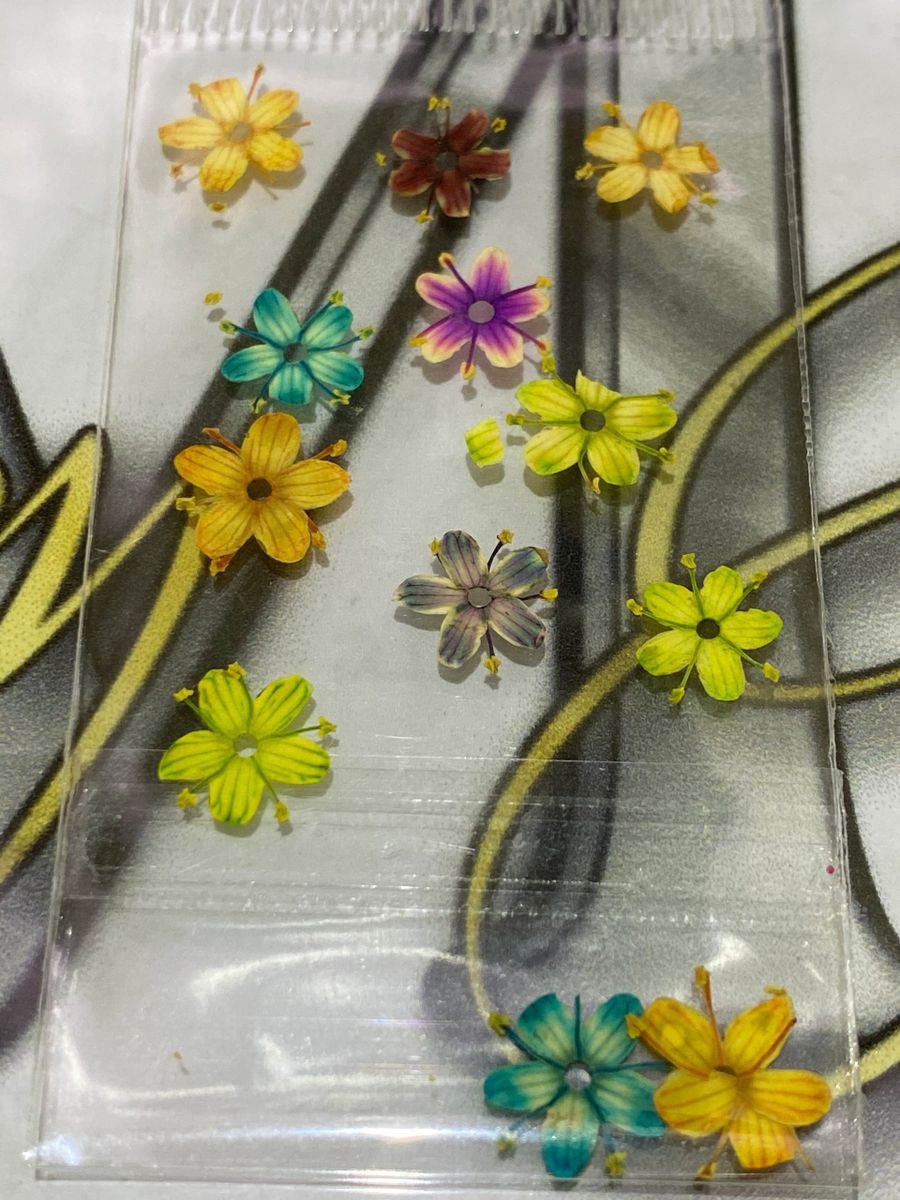 Mix BiColor 💐 Naturaleza SECA