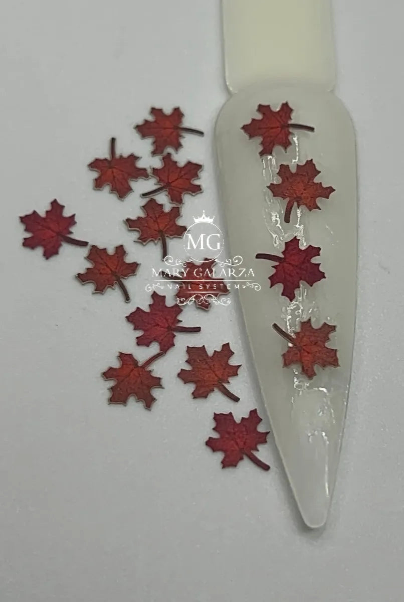 Mix Flores OTOÑO 🍁🍂🍃